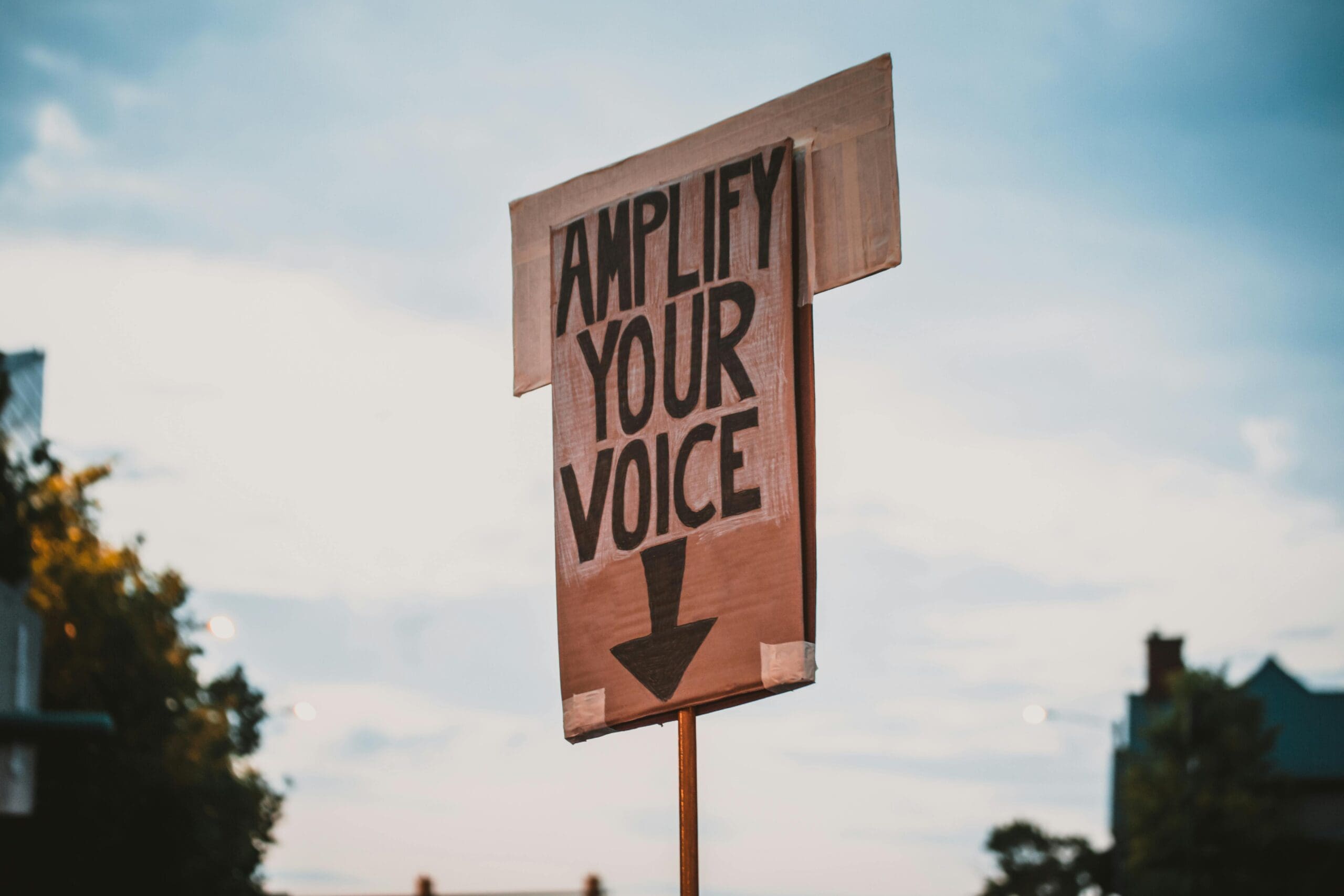 protest sign illustrating the importance of state elections